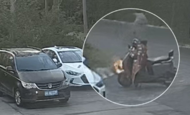 一男子手欠点燃柳絮：火势迅间失控引燃路边轿车 已被依法处理近日，江苏扬州高邮一名男子骑电动车途经路边时，出于好奇用打火机点燃了路边堆积的杨柳絮