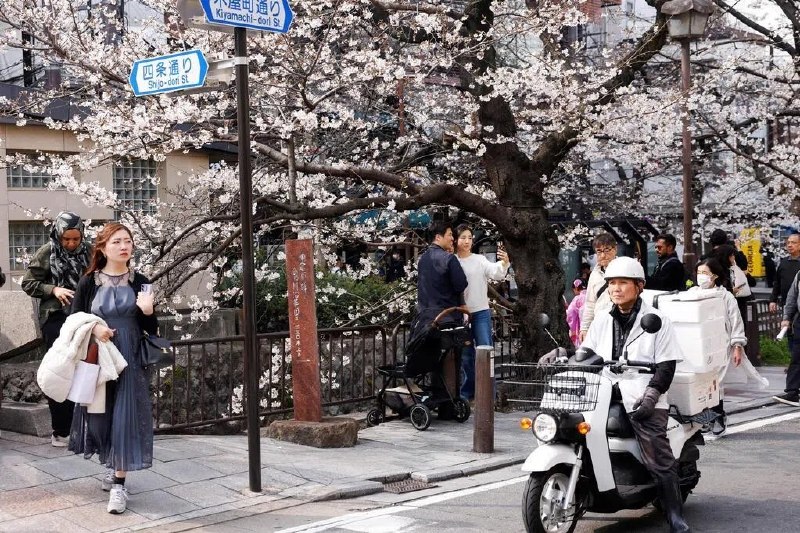 应对外国游客涌入 日本多地已开始或考虑征住宿税（东京讯）除了东京，日本地方政府正着手开征或提高住宿税，以确保有足够的财政资源来应对外国游客的涌入，并促进旅游业发展