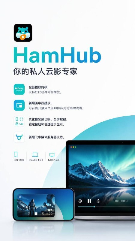 🖼 ▎HamHub▎HamHubHamHub 全新版本发布，全新播放内核，支持杜比视界内容播放，同时新增画中画播放及横竖屏切换，离开播放页或切换应用时，也可以继续观看