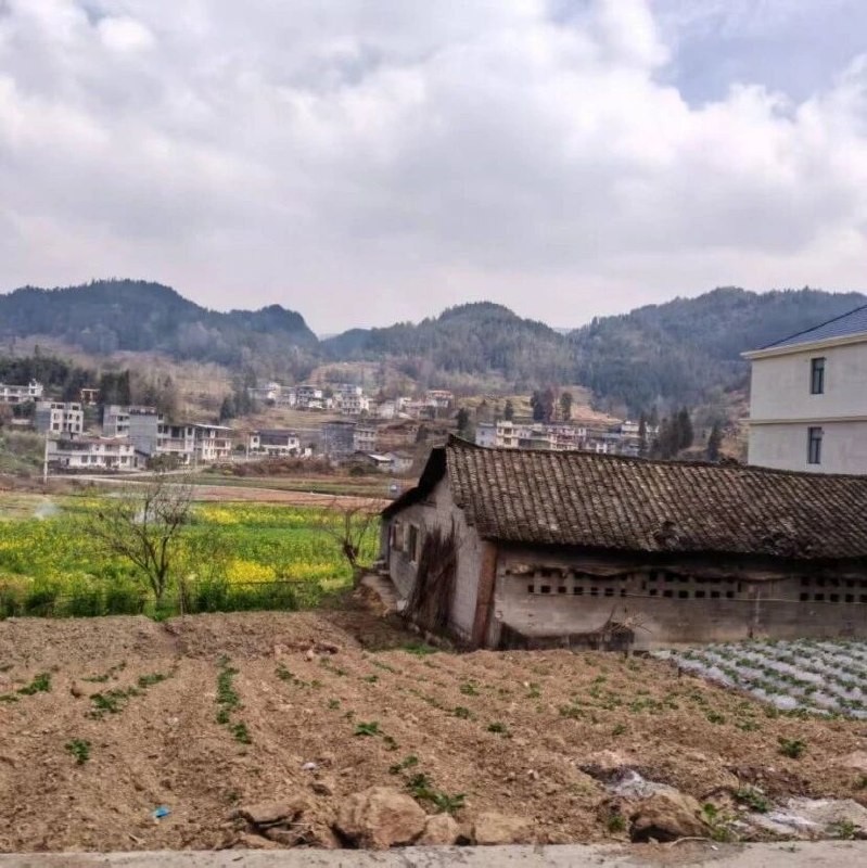 大山深处，那些靠百元养老金扛过疼痛的老人via 凤凰网财经