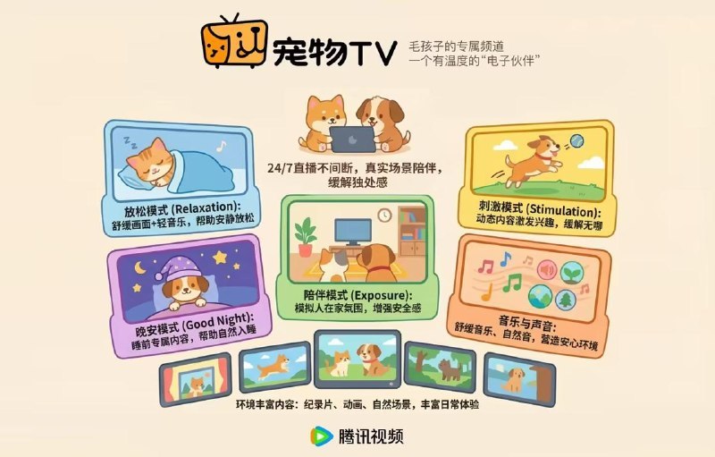 腾讯视频宠物 TV 频道开启试运营，专给猫、狗看宠物频道试运营，旨在帮助“毛孩子”放松、降低压力和减少拆家行为