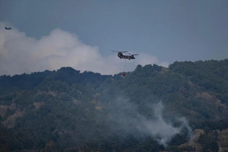 日本岩手县山火难控 超过3000人已被疏散位于日本本州东北部岩手县的两起山林火灾星期六（4月25日）进入第四天，地面空中灭火力量已增至1000多人