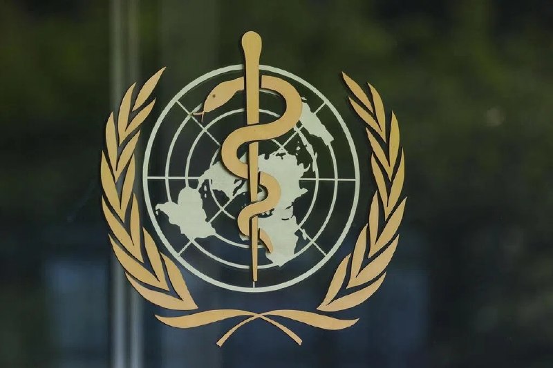 世卫：一艘游轮爆发汉坦病毒疫情 已致三人死亡世界卫生组织（WHO）通报，大西洋一艘游轮爆发汉坦病毒感染事件，已造成三人死亡，一人在加护病房接受治疗
