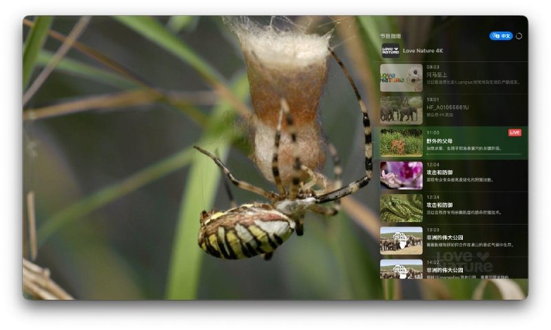 🚀 NanoTV macOS (v1.3.9)新版发布- 播放解码优化 - 减少卡顿- 订阅频道列表 - 显示界面优化- EPG 节目指南 - 显示界面优化- 播放窗口界面优化 - 增加节目指南海报信息京东🧧每天抽 3 次：点此抽取淘宝🧧每天抽 1 次：点此抽取标签:#nanotvCreated by RocM官方频道:@rocCHL官方群组:@roctech官方合作:@rocmmbotvia XP Digital Lab - Telegram Channel (author: RocM 不私聊任何人“小心骗子”)🚀 NanoTV macOS (v1.3.9)新版发布- 播放解码优化 - 减少卡顿- 订阅频道列表 - 显示界面优化- EPG 节目指南 - 显示界面优化- 播放窗口界面优化 - 增加节目指南海报信息京东🧧每天抽 3 次：点此抽取淘宝🧧每天抽 1 次：点此抽取标签:#nanotvCreated by RocM官方频道:@rocCHL官方群组:@roctech官方合作:@rocmmbotvia XP Digital Lab - Telegram Channel (author: RocM 不私聊任何人“小心骗子”)