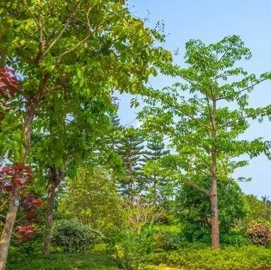 免费！济南6个能待一下午的公园推荐！via 济南本地宝