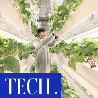 光伏储能、水培种植、精控品质青年科学家各显神通决战第五届“多多农研”via 凤凰网科技