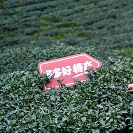 交易服务收入首次超过广告：拼多多商业模式正在经历一场静默重构via 凤凰网财经