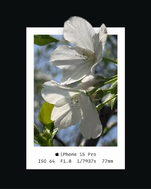 为了让照片冲出相框，我开发了这款 App~送码lanyi96:前几周在社交平台看到其他用户分享的鲜花的伪 3D 照片之后让我眼前一亮，所以开发了这款 app 效果图:原理是通过抠出照片中的主体，然后放置到相框的图层上，这种处理方式打破了二维平面的束缚，利用遮挡关系欺骗大脑，产生一种物体正向观众“跃出”屏幕的 3D 空间感