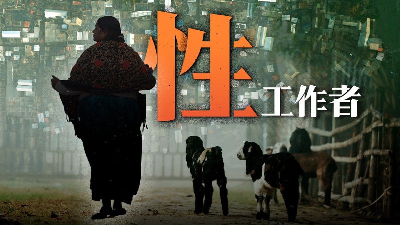 影视飓风最新的一期“孟加拉的性工作者”