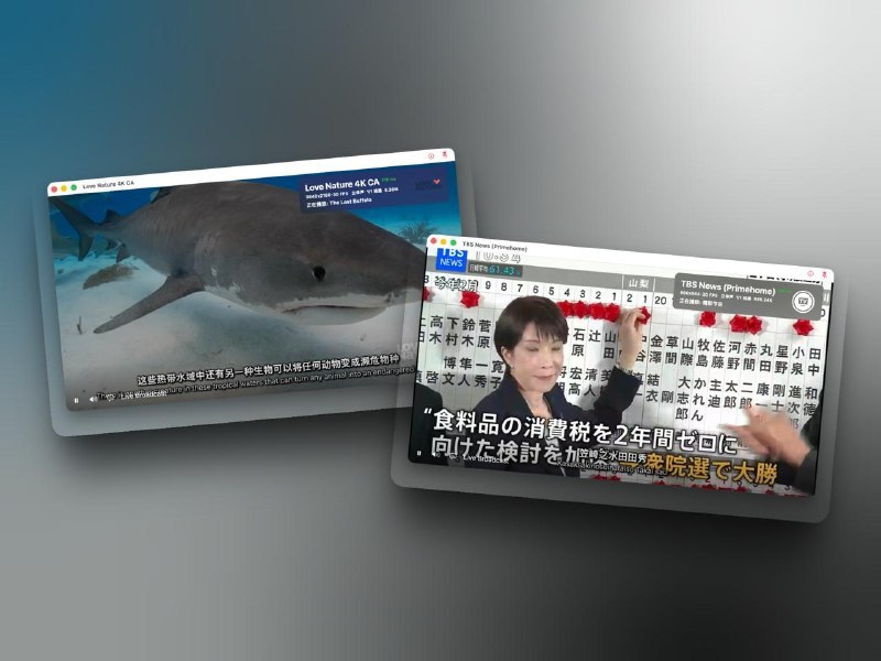 APTV目前TF实时字幕翻译，支持英文和日文两种语言目前的阶段英文效果几乎已经达到了可用阶段，延迟表现也OK