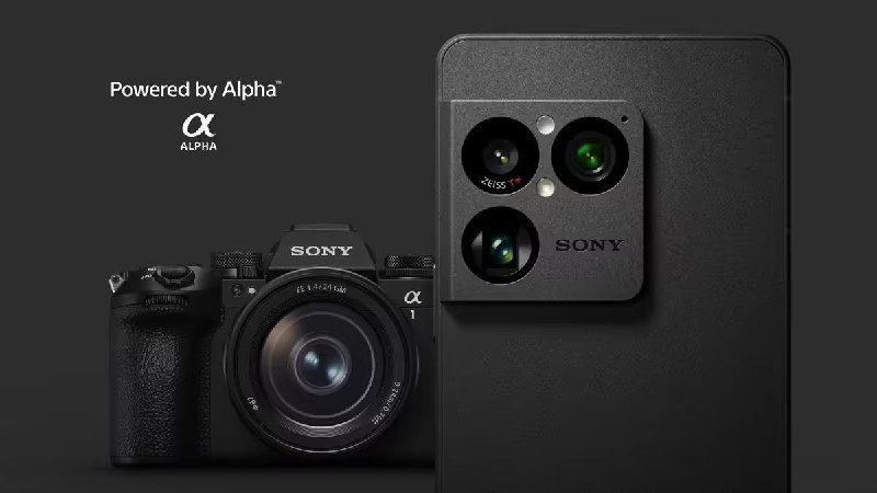 索尼刚发布的 Xperia 1 Ⅷ 终于舍弃了“祖传”的长焦小底，换成了 1/1.56 英寸大底长焦，连镜头模组都变成了方块造型