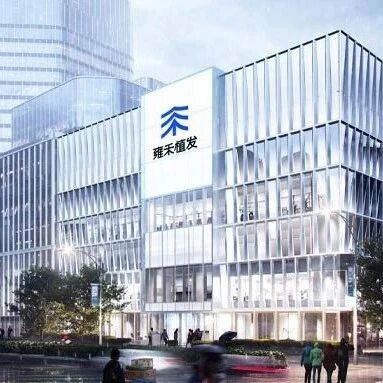 雍禾医疗CGO任剑：拒绝“打补丁”，构建“天地人”三网，引领商业模式升级，毛发行业穿越经济周期via 创业最前线
