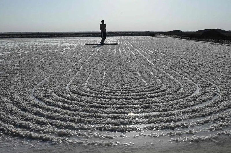 印度盐田工人每年夏季度过极端高温印度西部的古吉拉特邦（Gujarat）有多达5万名劳工顶着酷暑，在偏远的盐田上工作长达八个月，那里没有电力，只能靠水罐车每25天运送一次饮用水和生活用水，每年夏季都面临着严峻的热浪挑战，气温经常超过45摄氏度，甚至高达48度